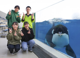 【鴨川シーワールド】1日7組限定「シャチと記念写真」開催決定